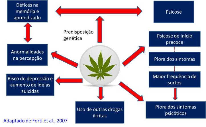 Efeitos adversos do uso da maconha na saúde: repercussões para a ...
