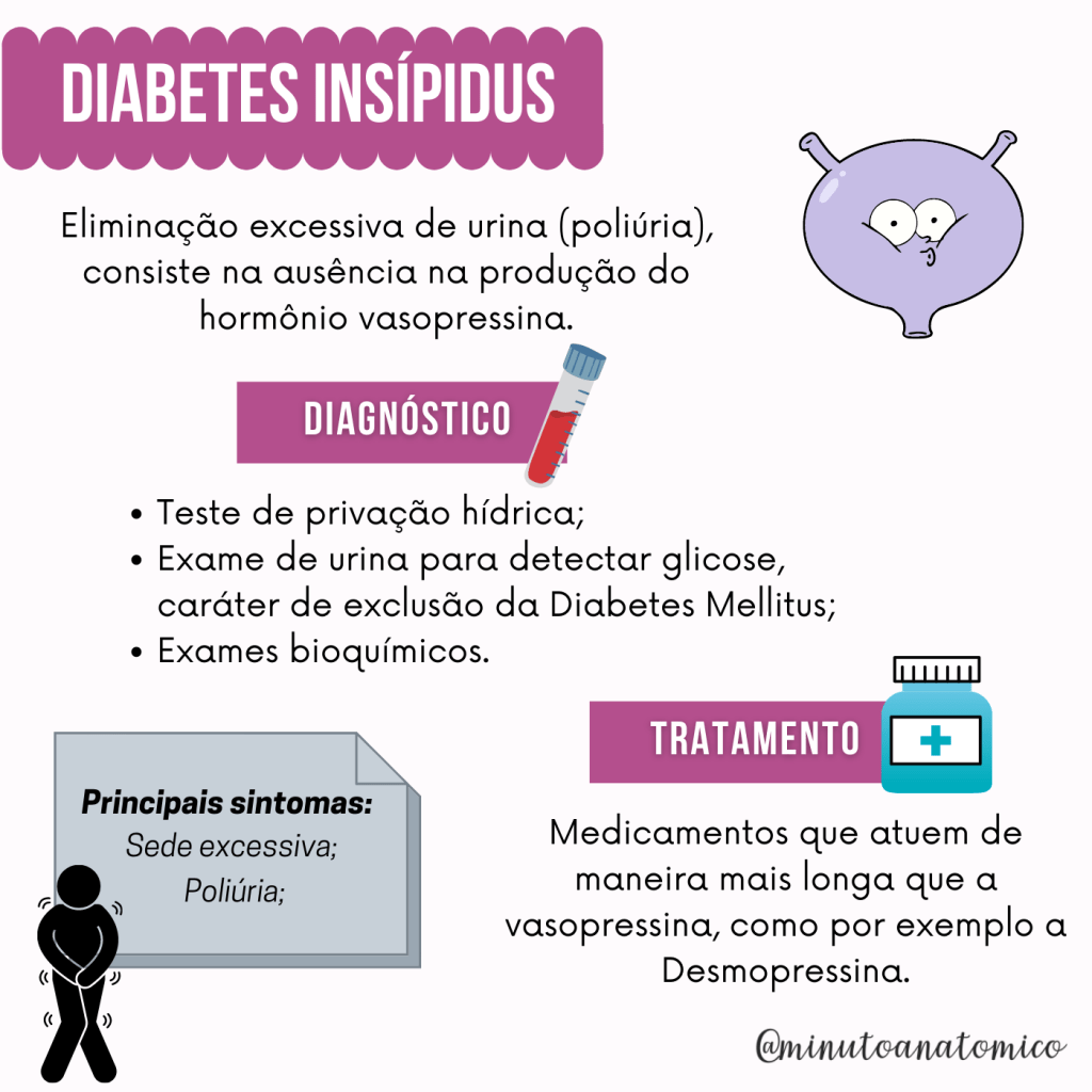 Dra. Samantha Antoun - Endocrinologista | Araruama RJ, image size:1024x1024