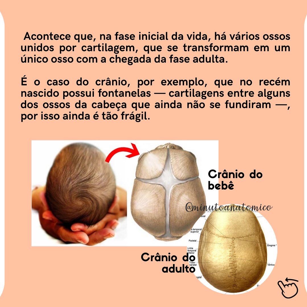 Minuto anatômico #121: Bebês têm mais ossos que adultos – Anatomia ...