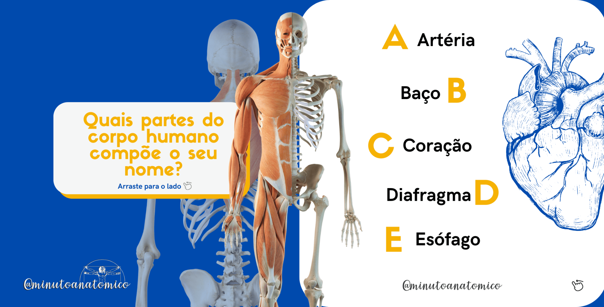 Minuto Anatômico #146: Quais partes do corpo humano compõem o seu nome ...