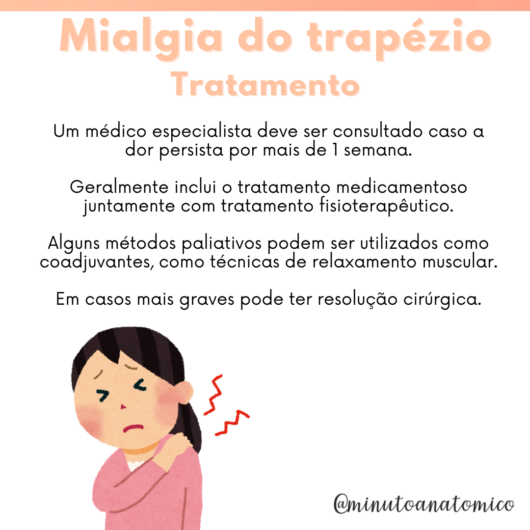 Minuto Anatômico #197: Mialgia do trapézio – Anatomia & Fisioterapia