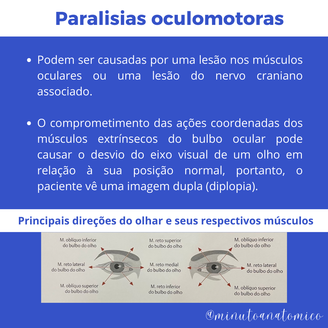 Minuto Anatômico #203: Paralisias oculomotoras – Anatomia & Fisioterapia