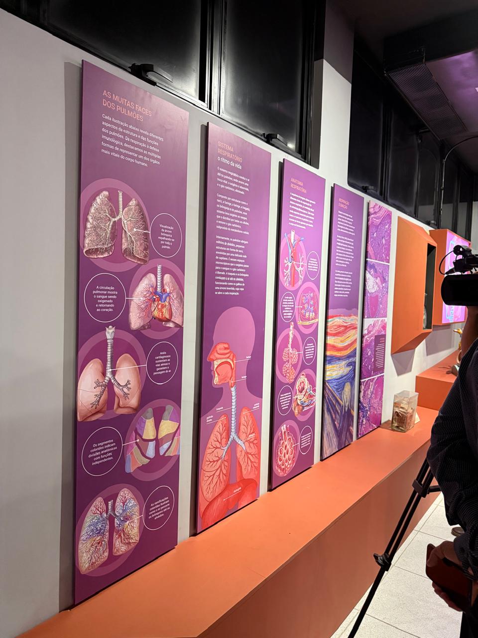 Reinauguração do Museu de Ciências Morfológicas (UFRN) – Anatomia ...