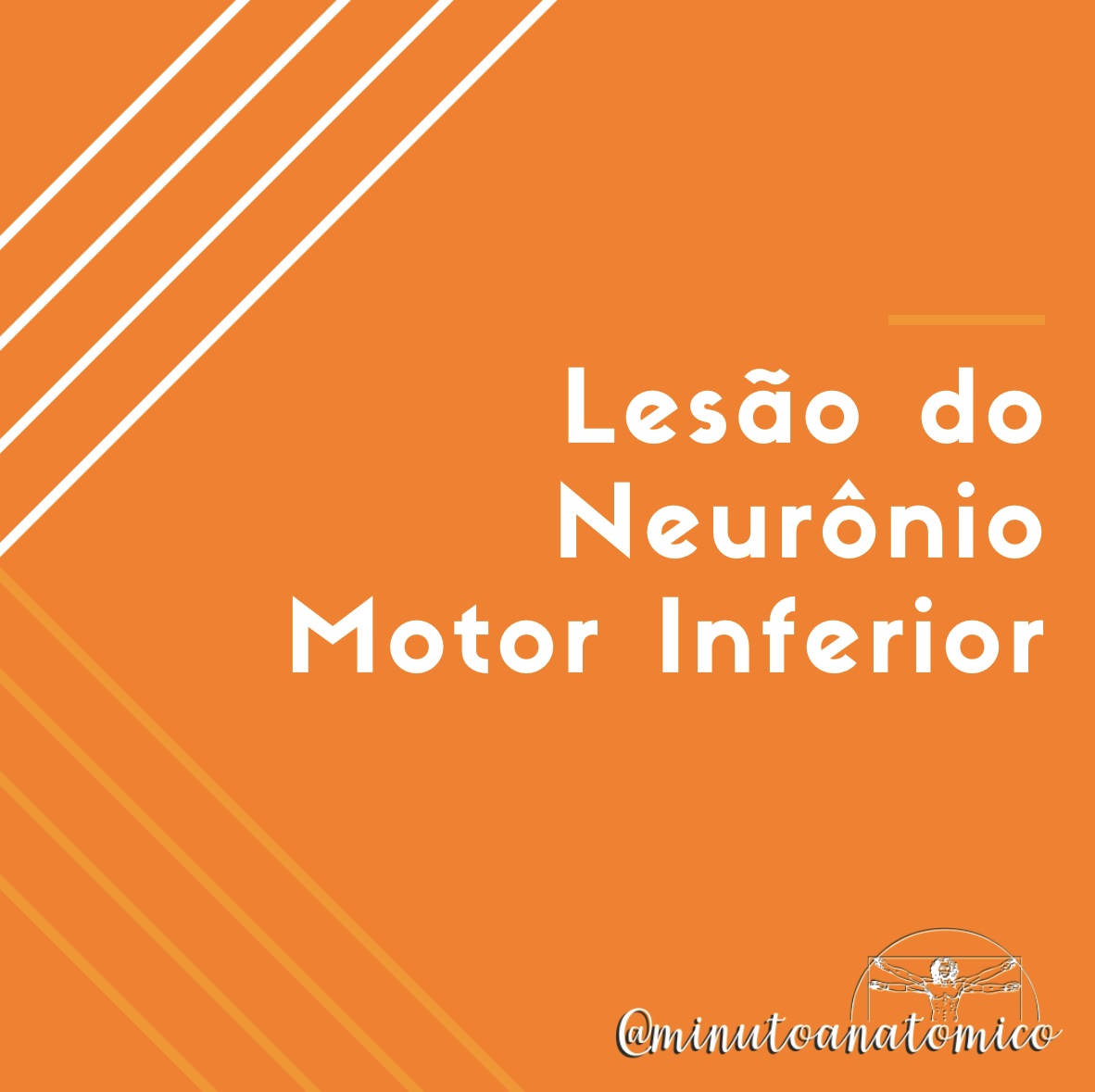 Minuto Anatômico #231: Lesão do neurônio motor inferior – Anatomia ...